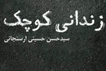 نگاهی دوباره به «زندانی کوچک» سیدحسن حسینی ارسنجانی