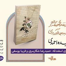 رونمایی و نقد کتاب «شاید به جا آوردی» نوشته وحیده احمدی