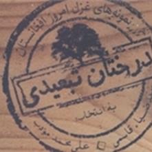 «درختان تبعیدی» غزل‌هایی از شاعران افغان که از جنس امروز هستند