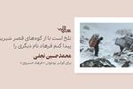 لیلاهای این شهر | شعری برای محمدحسین نجفی
