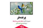 پرنده‌تر | شعری از مبین اردستانی