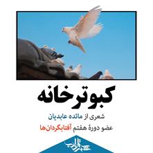 کبوترخانه | شعری از مائده عابدیان