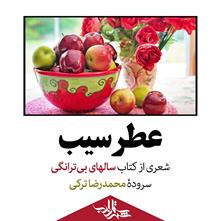 عطر سیب | شعری از دکتر محمدرضا ترکی
