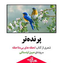 پرنده‌تر | شعری از مبین اردستانی