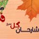 شارحان گل سرخ l غزلی از محمدحسین انصاری‌نژاد