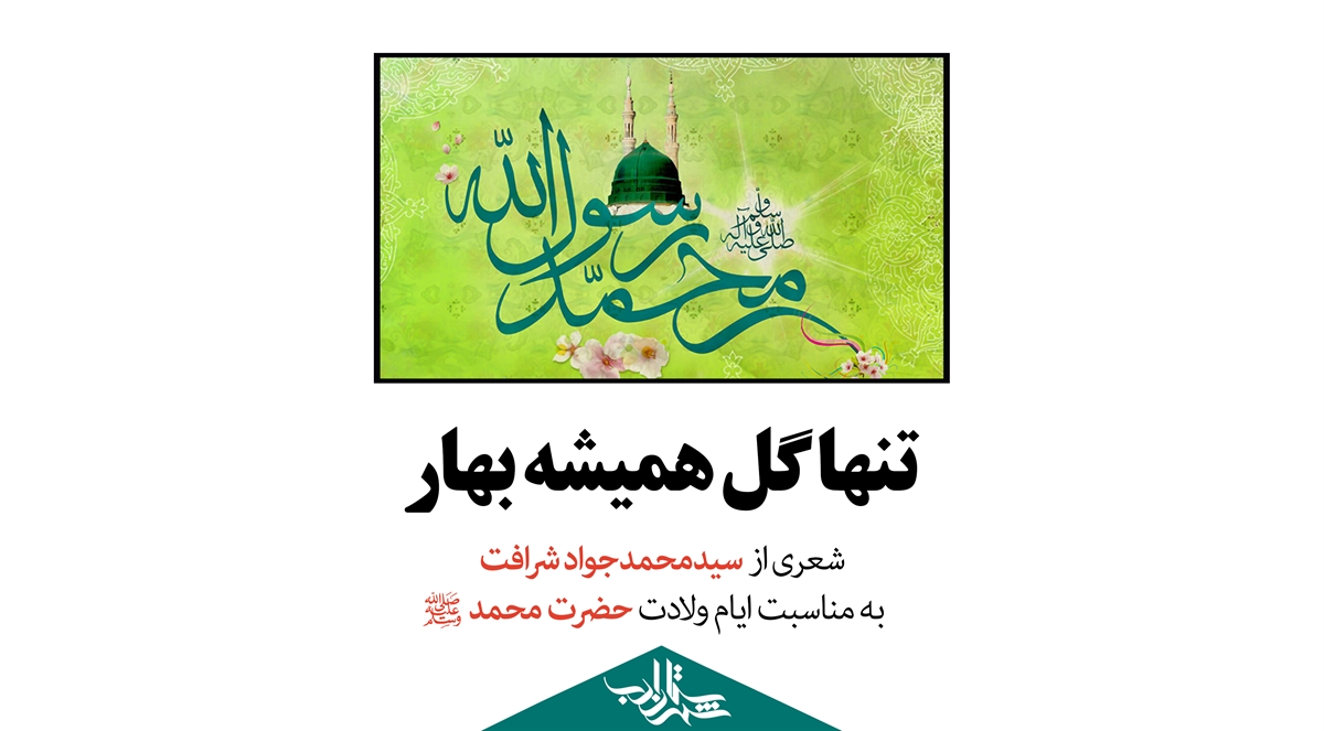 تنها گل همیشه بهار | شعری از سیدمحمدجواد شرافت