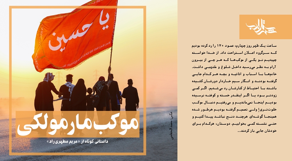 موکب مارمولکی | داستانی کوتاه از مریم مطهریراد