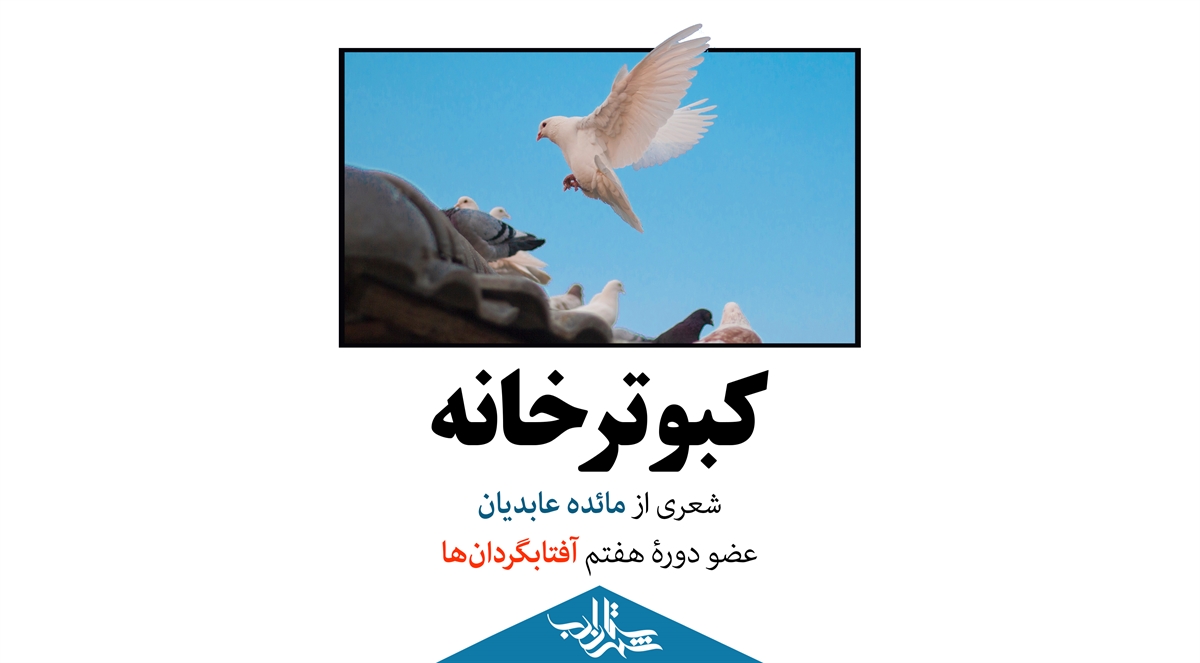 کبوترخانه | شعری از مائده عابدیان