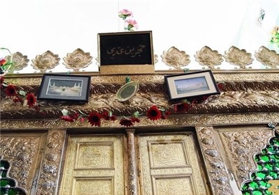 این کفن دزدها چه می‌خواهند